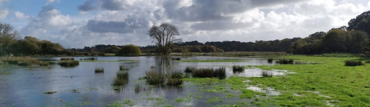Wet field at East Stoke - copy