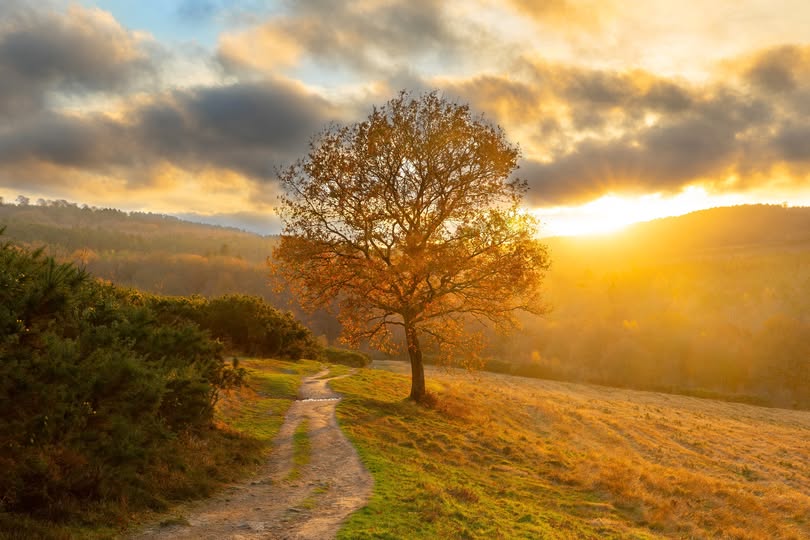 Autumn Recorders Meeting & AGM